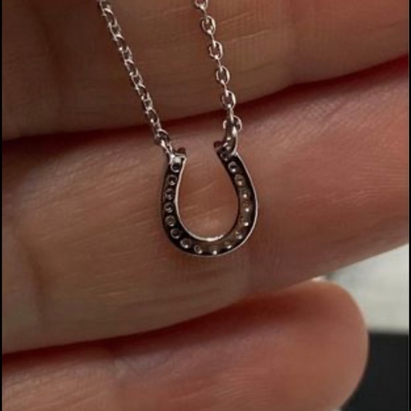 Cubic Zirconia Cz Horseshoe Good Luck Chain Necklace Pendant Charm - Picture 5 of 6